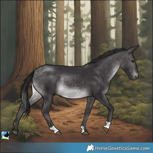 Horse Color:Platinum Buckskin Rabicano