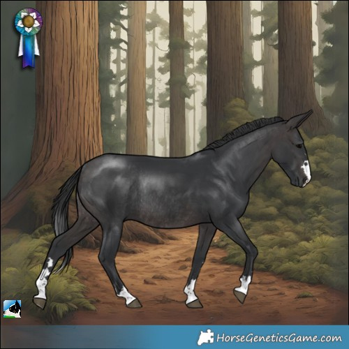 Horse Color:Platinum Brown Rabicano