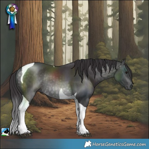 Horse Color:Platinum Buckskin Tobiano Rabicano