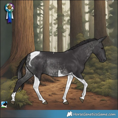 Horse Color:Platinum Buckskin Tobiano Rabicano 