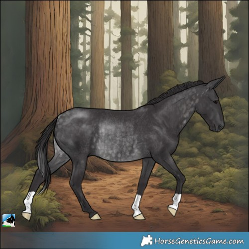 Horse Color:Platinum Buckskin Rabicano 