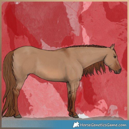 Horse Color:Red Dun 