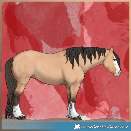Horse Color:Bay Dun Rabicano 