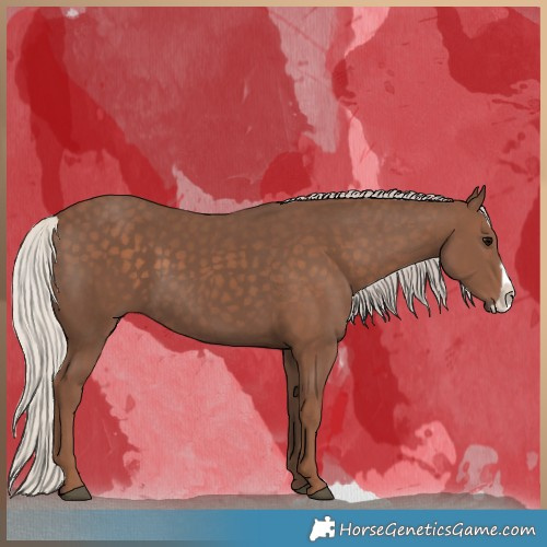 Horse Color:Silver Black Frame