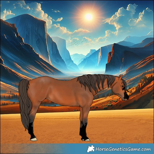Horse Color:Void Bay
