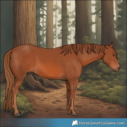 Horse Color:Chestnut 