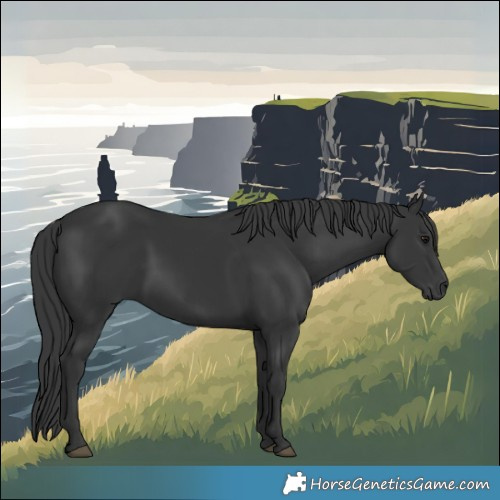 Horse Color:Black Rabicano
