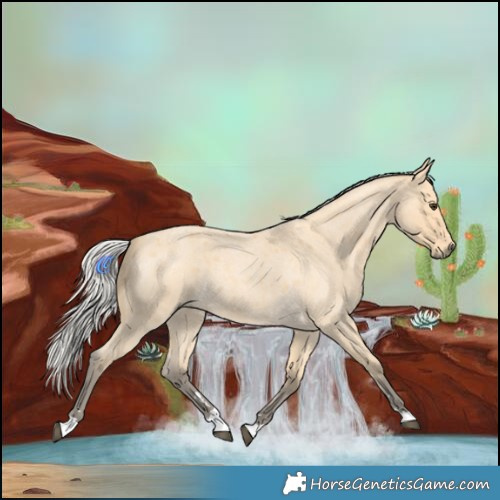 Horse Color:Silver Buckskin Roan 