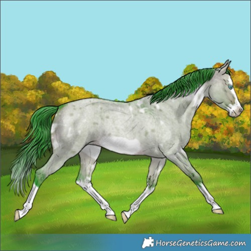 Horse Color:Watercolor White Spotted Brown Roan Dun Splash Frame