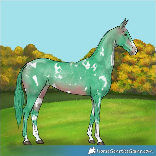 Horse Color:Watercolor White Spotted Bay Sabino