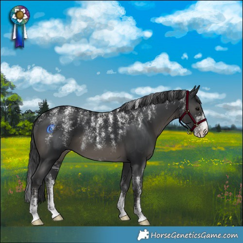 Horse Color:Powder White Black 