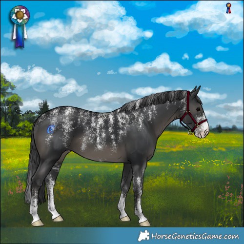 Horse Color:Powder White Black 