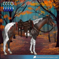 Horse Color:Brown Tobiano Rabicano