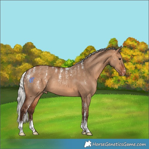 Horse Color:Powder White Silver Brown Dun Varnish Rabicano 