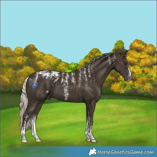 Horse Color:Powder White Gray Silver Smoky Black Blanket