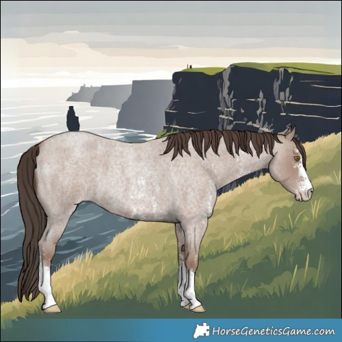 Horse Color:Classic Champagne Roan Sabino