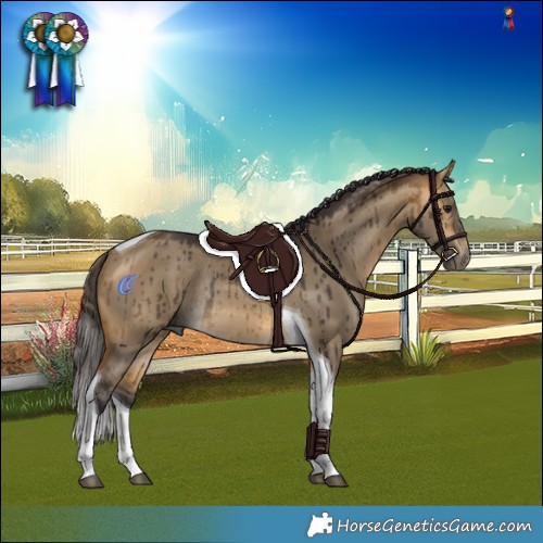Horse Color:Buckskin Dun Tobiano Rabicano Brindle 