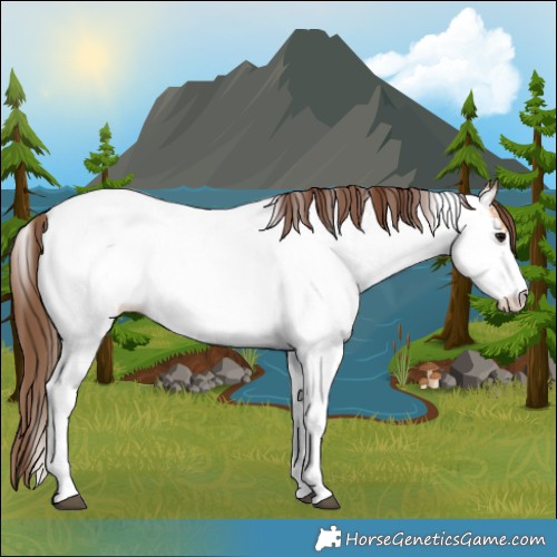Horse Color:Bay Dun Tobiano Near Fewspot