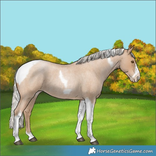 Horse Color:Silver Blue Roan Pearl Tobiano Frame 
