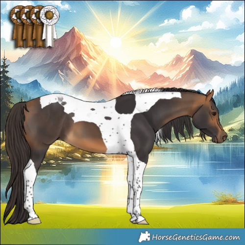 Horse Color:Buckskin Tobiano 