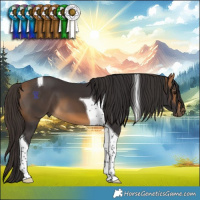 Horse Color:Buckskin Tobiano 