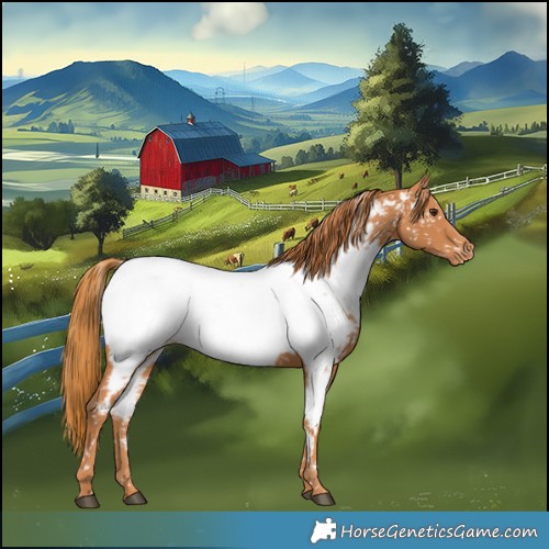 Horse Color:Chestnut Near Fewspot