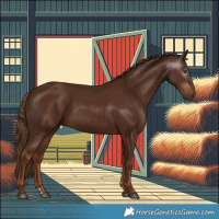Horse Color:Gray Chestnut 