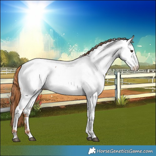 Horse Color:Chestnut Near Fewspot 