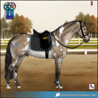 Horse Color:Gray White Spotted Brown Dun 