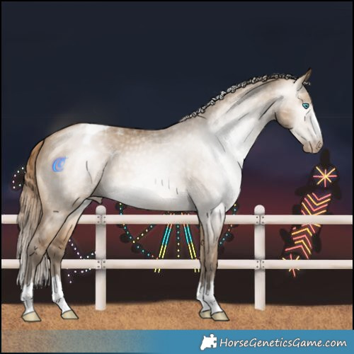 Horse Color:Gray Perlino Dun Varnish 