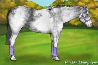 Horse Color:White Spotted Black 