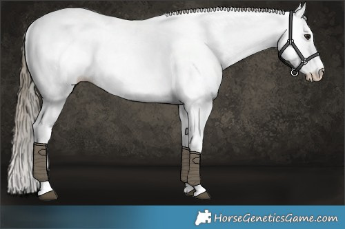 Horse Color:Buckskin Fewspot