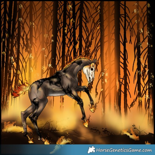Horse Color:Void Liver Red Dun Tobiano Rabicano