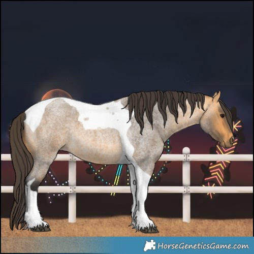 Horse Color:Buckskin Roan Tobiano