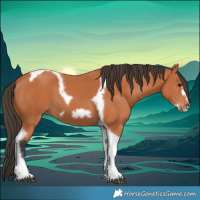 Horse Color:Bay Tobiano Frame 