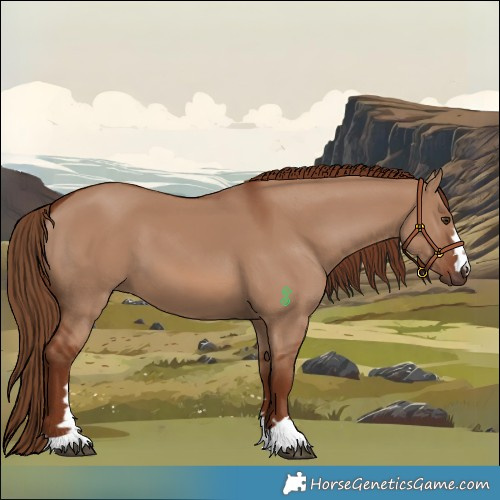 Horse Color:Red Dun