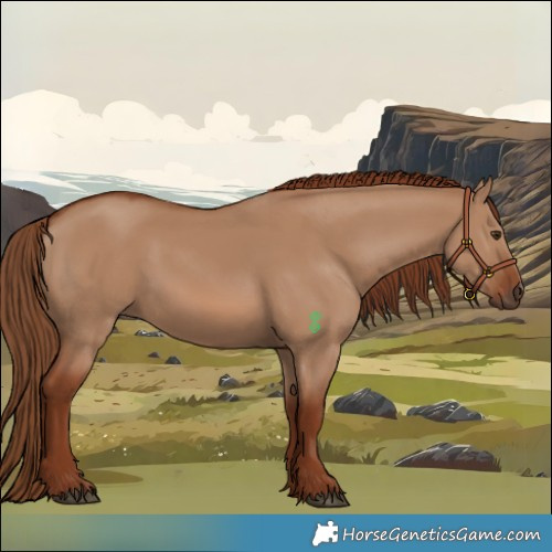 Horse Color:Red Dun