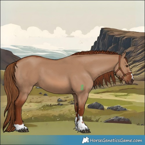 Horse Color:Red Dun 