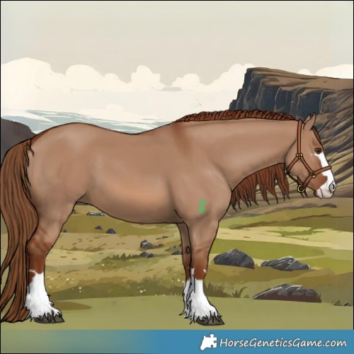Horse Color:Red Dun