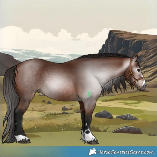 Horse Color:Gray Bay