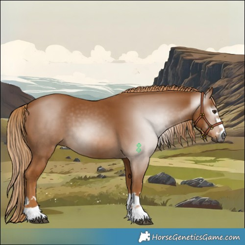 Horse Color:Gray Chestnut 