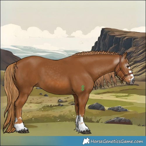 Horse Color:Gray Chestnut 