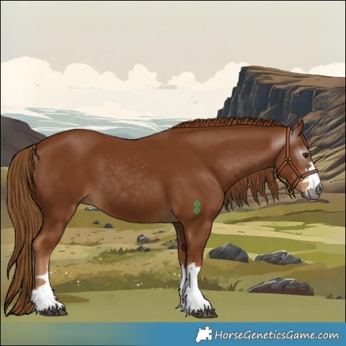 Horse Color:Gray Chestnut 