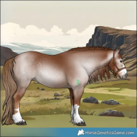 Horse Color:Gray Chestnut