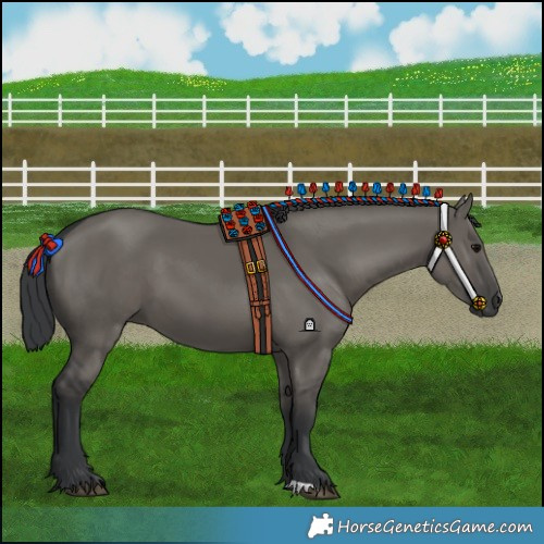 Horse Color:Grullo