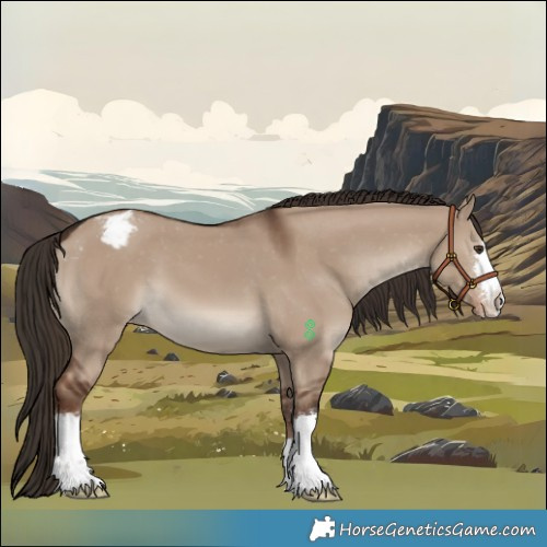 Horse Color:Liver Red Dun Varnish 