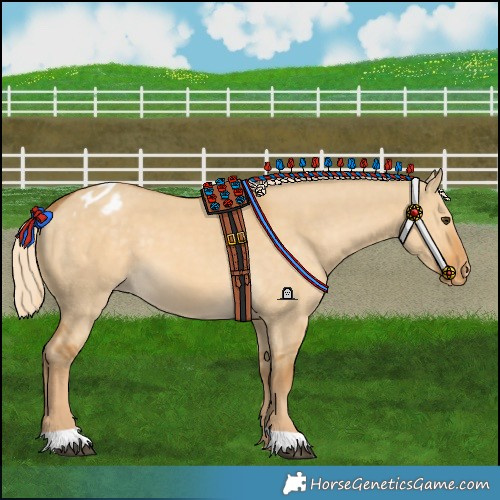 Horse Color:Palomino Dun Varnish 