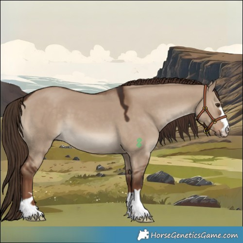 Horse Color:Liver Red Dun
