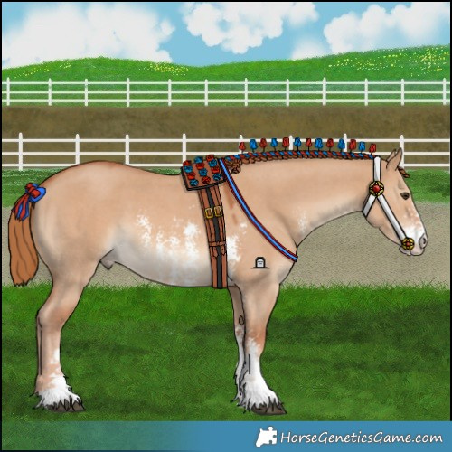 Horse Color:Red Dun Sabino 