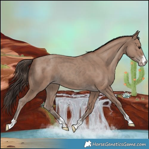 Horse Color:Classic Champagne